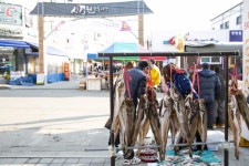 전국별별시장 > 신철원시장 | 별별시장&별별여행 ┃ 여행문화의 새로운 트렌드를 만들다 전국별별시장 > 신철원시장