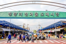 전국별별시장 > 청량리청과물시장 | 별별시장&별별여행 ┃ 여행문화의 새로운 트렌드를 만들다 전국별별시장 > 청량리청과물시장