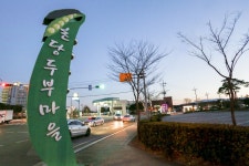 별별골목 > 강릉초당두부마을 | 별별시장&별별여행 ┃ 여행문화의 새로운 트렌드를 만들다 별별골목 > 강릉초당두부마을