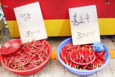 전국별별시장 > 울산번개시장 | 별별시장&별별여행 ┃ 여행문화의 새로운 트렌드를 만들다 전국별별시장 > 울산번개시장