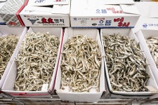 전국별별시장 > 남해전통시장 | 별별시장&별별여행 ┃ 여행문화의 새로운 트렌드를 만들다 전국별별시장 > 남해전통시장