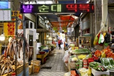 전국별별시장 > 속초관광수산시장 | 별별시장&별별여행 ┃ 여행문화의 새로운 트렌드를 만들다 전국별별시장 > 속초관광수산시장