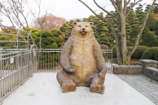 별별여행 > 베어트리파크 | 별별시장&별별여행 ┃ 여행문화의 새로운 트렌드를 만들다 별별여행 > 베어트리파크