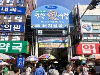 별별골목 > 마산어시장돼지골목 | 별별시장&별별여행 ┃ 여행문화의 새로운 트렌드를 만들다 별별골목 > 마산어시장돼지골목