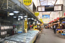 전국별별시장 > 마산어시장 | 별별시장&별별여행 ┃ 여행문화의 새로운 트렌드를 만들다 전국별별시장 > 마산어시장