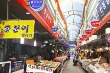 전국별별시장 > 마산어시장 | 별별시장&별별여행 ┃ 여행문화의 새로운 트렌드를 만들다 전국별별시장 > 마산어시장