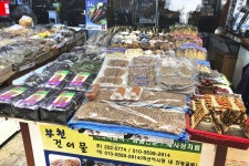 전국별별시장 > 마산어시장 | 별별시장&별별여행 ┃ 여행문화의 새로운 트렌드를 만들다 전국별별시장 > 마산어시장