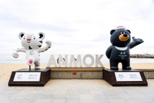 별별여행 > 강릉커피거리 | 별별시장&별별여행 ┃ 여행문화의 새로운 트렌드를 만들다 별별여행 > 강릉커피거리