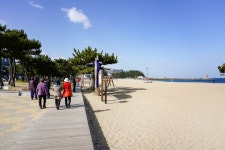 별별여행 > 낙산해수욕장 | 별별시장&별별여행 ┃ 여행문화의 새로운 트렌드를 만들다 별별여행 > 낙산해수욕장