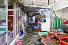 별별골목 > 장생포회센터 | 별별시장&별별여행 ┃ 여행문화의 새로운 트렌드를 만들다 별별골목 > 장생포회센터