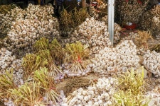 전국별별시장 > 충무동새벽시장 | 별별시장&별별여행 ┃ 여행문화의 새로운 트렌드를 만들다 전국별별시장 > 충무동새벽시장