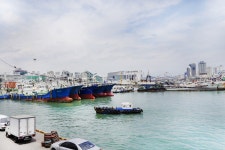 전국별별시장 > 충무동새벽시장 | 별별시장&별별여행 ┃ 여행문화의 새로운 트렌드를 만들다 전국별별시장 > 충무동새벽시장