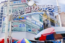 전국별별시장 > 통영중앙시장 활어시장 | 별별시장&별별여행 ┃ 여행문화의 새로운 트렌드를 만들다 전국별별시장 > 통영중앙시장 활어시장