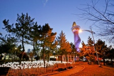 별별여행 > 엑스포타워 | 별별시장&별별여행 ┃ 여행문화의 새로운 트렌드를 만들다 별별여행 > 엑스포타워