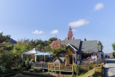 별별여행 > 원예예술촌 | 별별시장&별별여행 ┃ 여행문화의 새로운 트렌드를 만들다 별별여행 > 원예예술촌