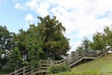 별별여행 > 수봉공원 | 별별시장&별별여행 ┃ 여행문화의 새로운 트렌드를 만들다 별별여행 > 수봉공원