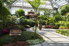 별별여행 > 경주동궁원 | 별별시장&별별여행 ┃ 여행문화의 새로운 트렌드를 만들다 별별여행 > 경주동궁원