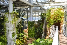 별별여행 > 경주동궁원 | 별별시장&별별여행 ┃ 여행문화의 새로운 트렌드를 만들다 별별여행 > 경주동궁원