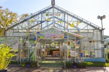 별별여행 > 경주동궁원 | 별별시장&별별여행 ┃ 여행문화의 새로운 트렌드를 만들다 별별여행 > 경주동궁원