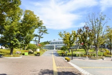 별별여행 > 경주동궁원 | 별별시장&별별여행 ┃ 여행문화의 새로운 트렌드를 만들다 별별여행 > 경주동궁원