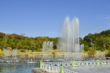 별별여행 > 경주동궁원 | 별별시장&별별여행 ┃ 여행문화의 새로운 트렌드를 만들다 별별여행 > 경주동궁원