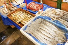 전국별별시장 > 망미중앙시장 | 별별시장&별별여행 ┃ 여행문화의 새로운 트렌드를 만들다 전국별별시장 > 망미중앙시장