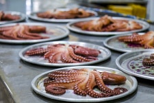 전국별별시장 > 영덕시장 | 별별시장&별별여행 ┃ 여행문화의 새로운 트렌드를 만들다 전국별별시장 > 영덕시장