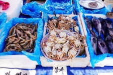 전국별별시장 > 봉평전통시장 | 별별시장&별별여행 ┃ 여행문화의 새로운 트렌드를 만들다 전국별별시장 > 봉평전통시장