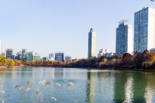 별별여행 > 석촌호수 | 별별시장&별별여행 ┃ 여행문화의 새로운 트렌드를 만들다 별별여행 > 석촌호수