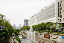 전국별별시장 > 동대문종합시장 | 별별시장&별별여행 ┃ 여행문화의 새로운 트렌드를 만들다 전국별별시장 > 동대문종합시장