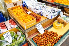 전국별별시장 > 토지금고시장 | 별별시장&별별여행 ┃ 여행문화의 새로운 트렌드를 만들다 전국별별시장 > 토지금고시장