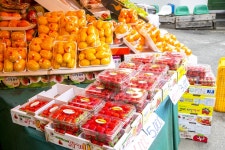 전국별별시장 > 새마을전통시장 | 별별시장&별별여행 ┃ 여행문화의 새로운 트렌드를 만들다 전국별별시장 > 새마을전통시장