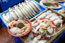 전국별별시장 > 강남시장 | 별별시장&별별여행 ┃ 여행문화의 새로운 트렌드를 만들다 전국별별시장 > 강남시장