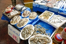 전국별별시장 > 강남시장 | 별별시장&별별여행 ┃ 여행문화의 새로운 트렌드를 만들다 전국별별시장 > 강남시장