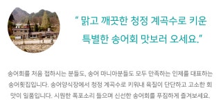 전국별별시장 스토어 > 백담폭포송어횟집 | 별별시장&별별여행 ┃ 여행문화의 새로운 트렌드를 만들다 전국별별시장 스토어 > 백담폭포송어횟집