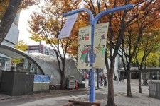 별별여행 > 홍대걷고싶은거리 | 별별시장&별별여행 ┃ 여행문화의 새로운 트렌드를 만들다 별별여행 > 홍대걷고싶은거리