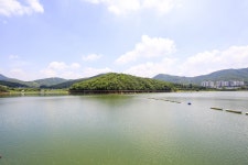 별별여행 > 백운호수 | 별별시장&별별여행 ┃ 여행문화의 새로운 트렌드를 만들다 별별여행 > 백운호수