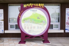 별별여행 > 바다향기수목원 | 별별시장&별별여행 ┃ 여행문화의 새로운 트렌드를 만들다 별별여행 > 바다향기수목원