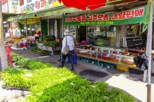 전국별별시장 > 동부시장 | 별별시장&별별여행 ┃ 여행문화의 새로운 트렌드를 만들다 전국별별시장 > 동부시장