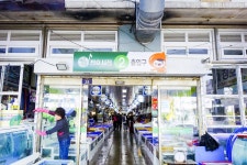 전국별별시장 > 목포 청호시장 | 별별시장&별별여행 ┃ 여행문화의 새로운 트렌드를 만들다 전국별별시장 > 목포 청호시장