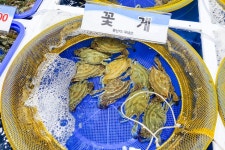 전국별별시장 > 목포 청호시장 | 별별시장&별별여행 ┃ 여행문화의 새로운 트렌드를 만들다 전국별별시장 > 목포 청호시장