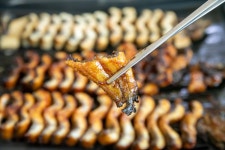 별별여행 추천스토어 > 풍천만가 | 별별시장&별별여행 ┃ 여행문화의 새로운 트렌드를 만들다 별별시장&별별여행 ┃ 여행문화의 새로운 트렌드를... 