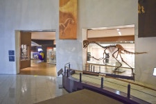 별별여행 > 목포자연사박물관 | 별별시장&별별여행 ┃ 여행문화의 새로운 트렌드를 만들다 별별여행 > 목포자연사박물관