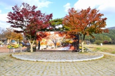 별별여행 > 내장산단풍생태공원 | 별별시장&별별여행 ┃ 여행문화의 새로운 트렌드를 만들다 별별여행 > 내장산단풍생태공원