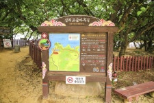 별별여행 > 십리포숲마루길 | 별별시장&별별여행 ┃ 여행문화의 새로운 트렌드를 만들다 별별여행 > 십리포숲마루길