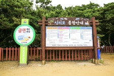 별별여행 > 십리포숲마루길 | 별별시장&별별여행 ┃ 여행문화의 새로운 트렌드를 만들다 별별여행 > 십리포숲마루길