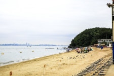 별별여행 > 십리포숲마루길 | 별별시장&별별여행 ┃ 여행문화의 새로운 트렌드를 만들다 별별여행 > 십리포숲마루길