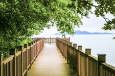 별별여행 > 십리포숲마루길 | 별별시장&별별여행 ┃ 여행문화의 새로운 트렌드를 만들다 별별여행 > 십리포숲마루길