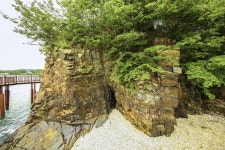 별별여행 > 십리포숲마루길 | 별별시장&별별여행 ┃ 여행문화의 새로운 트렌드를 만들다 별별여행 > 십리포숲마루길