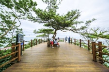 별별여행 > 십리포숲마루길 | 별별시장&별별여행 ┃ 여행문화의 새로운 트렌드를 만들다 별별여행 > 십리포숲마루길